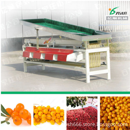 Sea buckthorn grading machine YSXT-1C